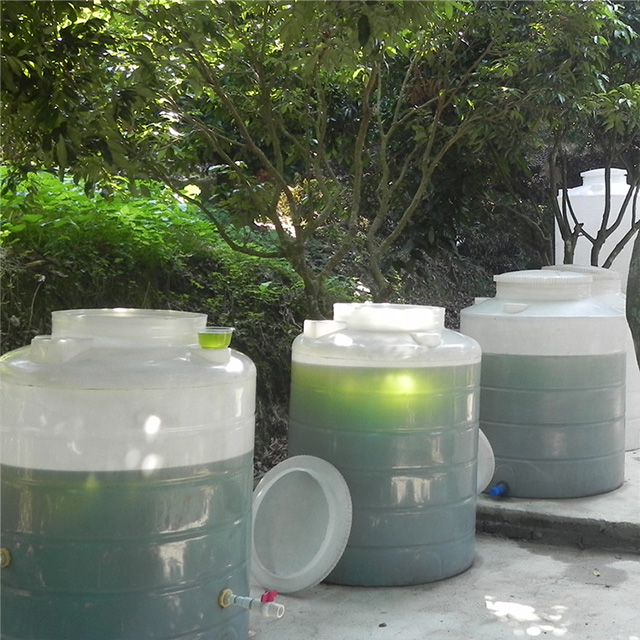 小球藻栅藻营养盐快速稳定扩培 - 海南源泉生物科技有限公司